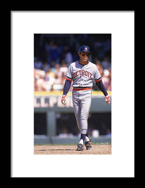 American League Baseball Framed Print featuring the photograph Alan Trammell by Ron Vesely