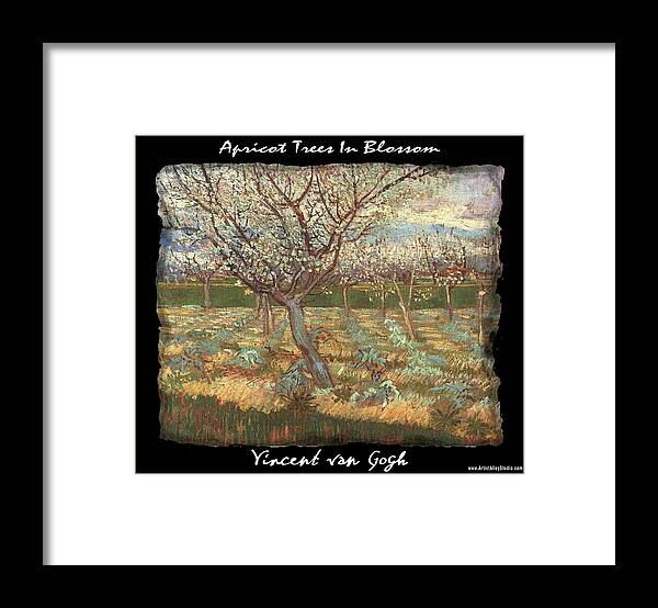 Vincent Framed Print featuring the painting Apricot Trees In Blossom - VVG by The GYPSY and Mad Hatter