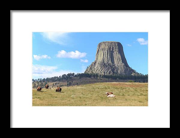 Devils Tower Framed Print featuring the photograph Devils Tower #2 by Brook Burling
