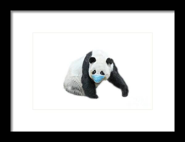 Covid 19 China Framed Print featuring the photograph Giant Panda with surgical mask #2 by Benny Marty