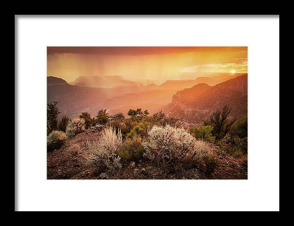Grand Canyon National Park Framed Print featuring the photograph Grand Canyon by Whit Richardson