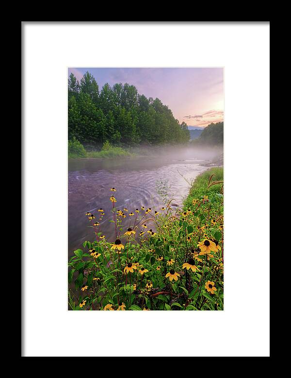 Wildflowers Framed Print featuring the photograph Little Piney Creek by Robert Charity