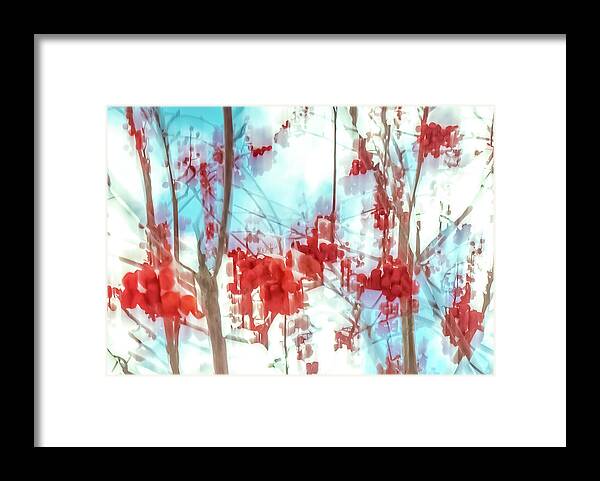 Autumn Framed Print featuring the photograph Mountain Ash Tree ICM Composite #1 by Dutch Bieber