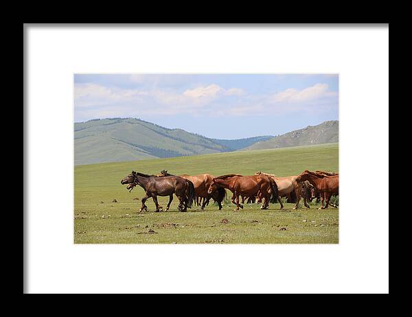 Nature In Mongolia Framed Print featuring the photograph Nature in Mongolia #2 by Otgon-Ulzii