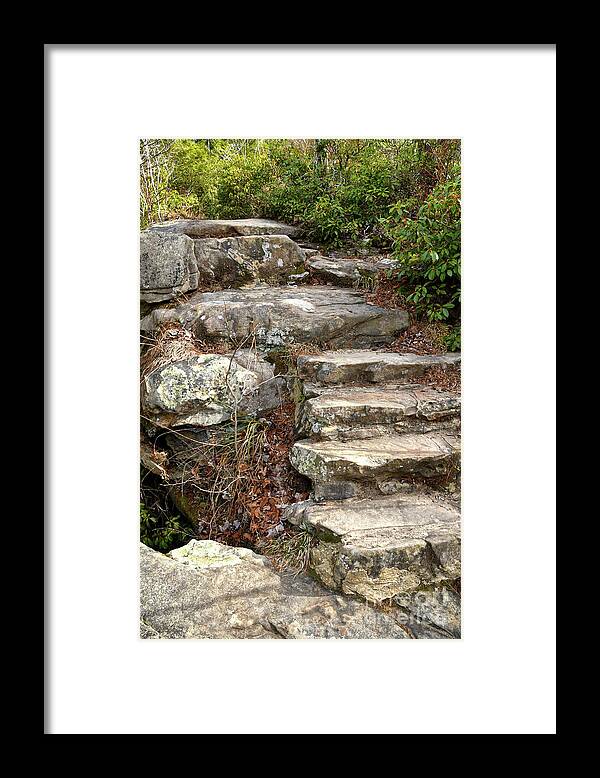 Hike Framed Print featuring the photograph Steps Into The Forest by Phil Perkins