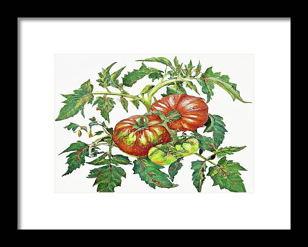 Two Red Tomatoes Framed Print featuring the digital art 2 Tomatoes 2 B by Cathy Anderson