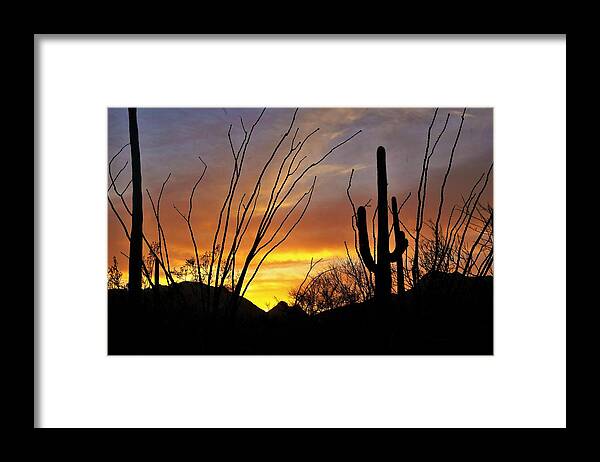 Amazing Sunsets Framed Print featuring the photograph Tucson Arizona Sunset #2 by Dennis Boyd