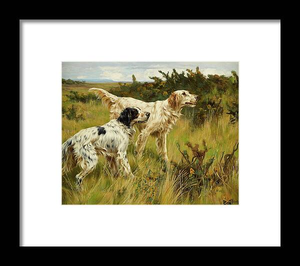 Two English Setters Framed Print featuring the painting Two English setters #2 by Thomas Blinks