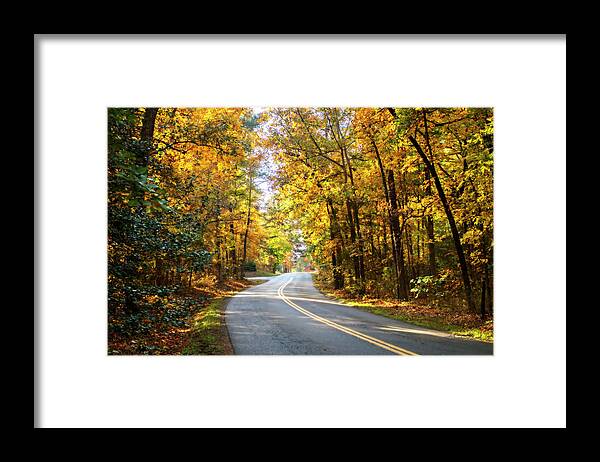 Color Framed Print featuring the photograph Walnut Grove Road -1 #2 by Alan Hausenflock
