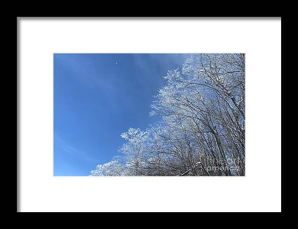  Framed Print featuring the photograph Winter Wonderland by Annamaria Frost
