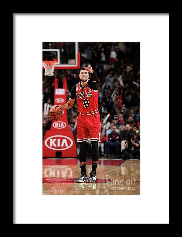 Chicago Bulls Framed Print featuring the photograph Zach Lavine by Gary Dineen
