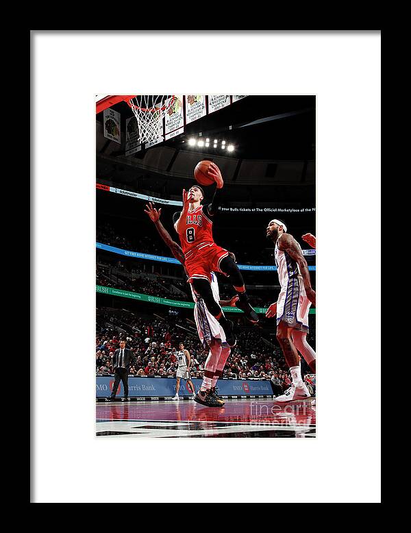 Chicago Bulls Framed Print featuring the photograph Zach Lavine by Jeff Haynes