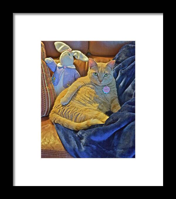Tabby Cat Framed Print featuring the photograph 2020 Interrupted by Janis Senungetuk