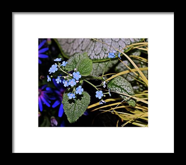 Spring Flowers Framed Print featuring the photograph 2020 Spring Memories by Janis Senungetuk