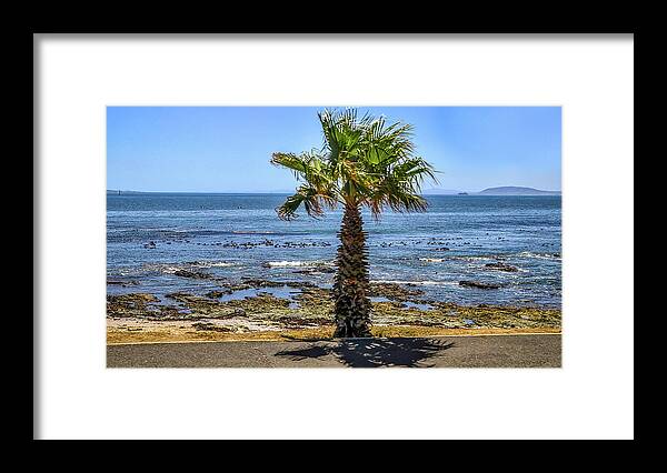 Capetown South Africa Framed Print featuring the photograph Capetown South Africa #21 by Paul James Bannerman