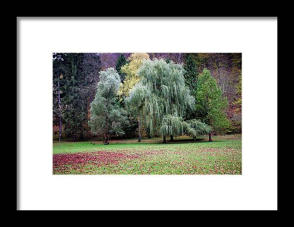 Autumn Framed Print featuring the photograph Autumn #28 by Robert Grac