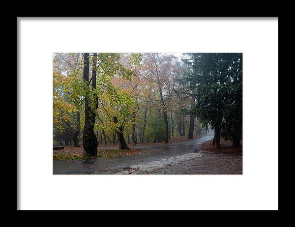 Autumn Framed Print featuring the photograph Autumn landscape with trees and Autumn leaves on the ground after rain #3 by Michalakis Ppalis