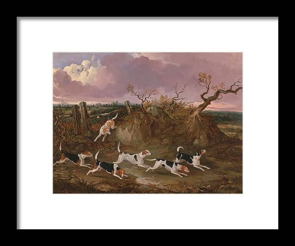 Painting Framed Print featuring the painting Beagles in Full Cry #3 by John Dalby