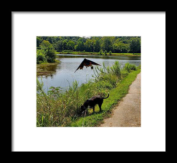 Chase Lake Park Hoover Alabama Framed Print featuring the photograph Chase Lake Park #3 by Kenny Glover