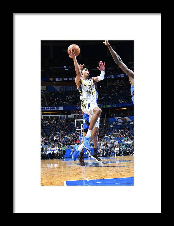 Tyrese Haliburton Framed Print featuring the photograph Indiana Pacers v Orlando Magic by Gary Bassing