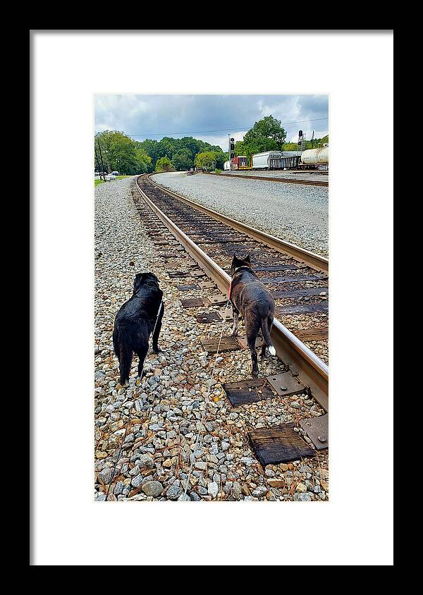 Irondale Train Viewing Platform Irondale Alabama Framed Print featuring the photograph Irondale Train Viewing Platform #3 by Kenny Glover