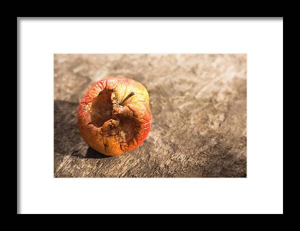 Outdoors Framed Print featuring the photograph Rotten Apple #3 by Dan Brownsword