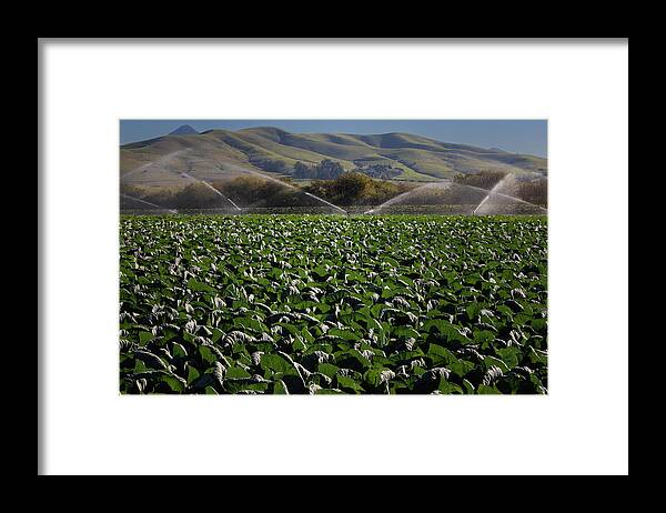  Framed Print featuring the photograph San Luis Obispo #3 by Lars Mikkelsen