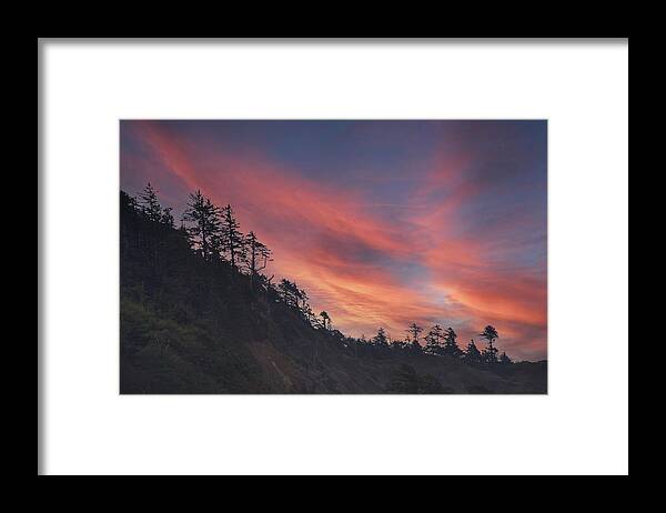 Cannon Framed Print featuring the photograph Silhouette of conifer against seacoast #3 by Steve Estvanik