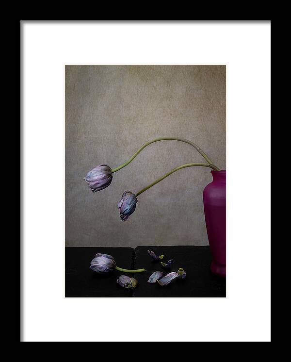 Still Life Framed Print featuring the photograph The aborted spring of 2020 in color 2 by Alessandra RC