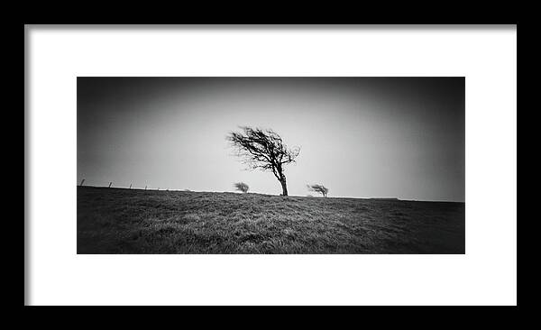Pinhole Framed Print featuring the photograph 3 windswept trees on the South downs by Will Gudgeon
