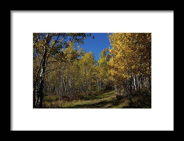 Explore More Framed Print featuring the photograph Wyoming Fall #3 by Julieta Belmont
