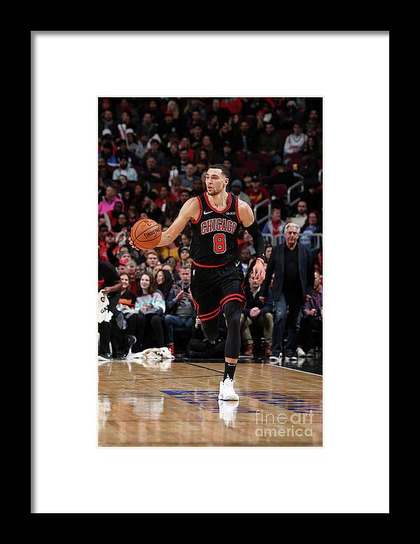 Chicago Bulls Framed Print featuring the photograph Zach Lavine by Gary Dineen