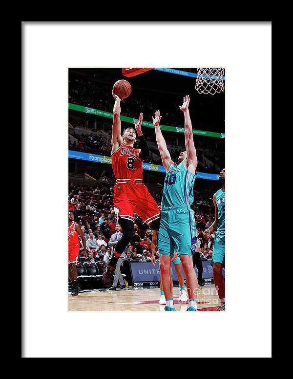 Chicago Bulls Framed Print featuring the photograph Zach Lavine by Jeff Haynes