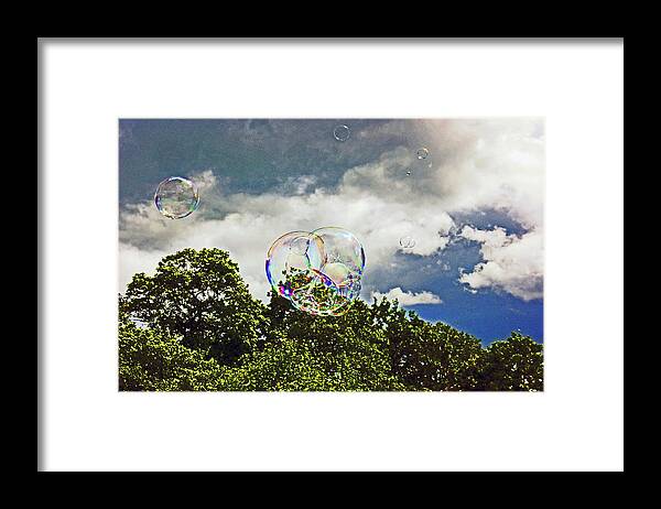 Chorley Framed Print featuring the photograph 30/07/17 Chorley Flower Show. by Lachlan Main