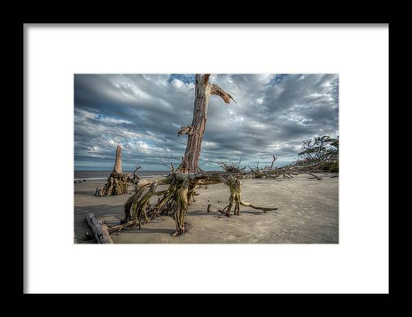 Beach Framed Print featuring the photograph Driftwood Beach by Carolyn Hutchins