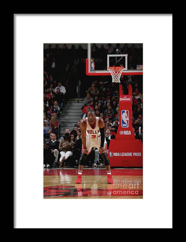 Nba Pro Basketball Framed Print featuring the photograph Dwyane Wade by Gary Dineen