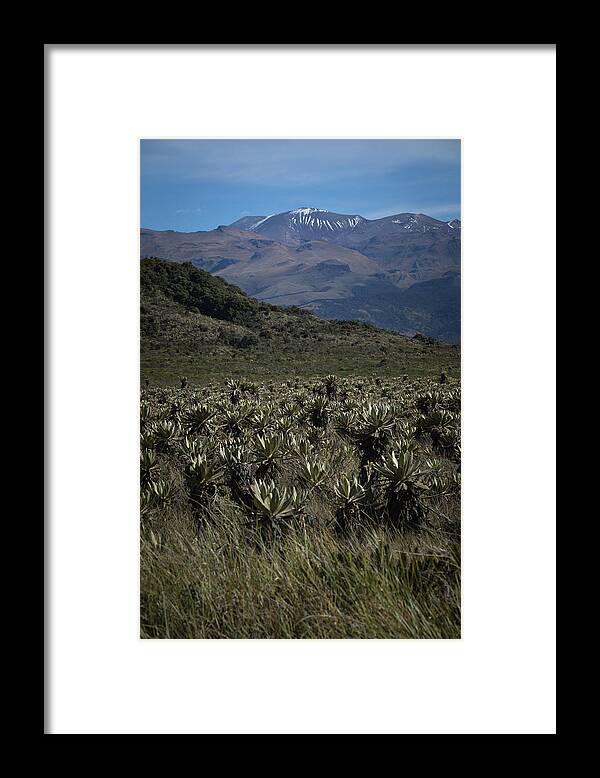 Parque Purace Framed Print featuring the photograph Parque Purace Cauca Colombia #4 by Tristan Quevilly