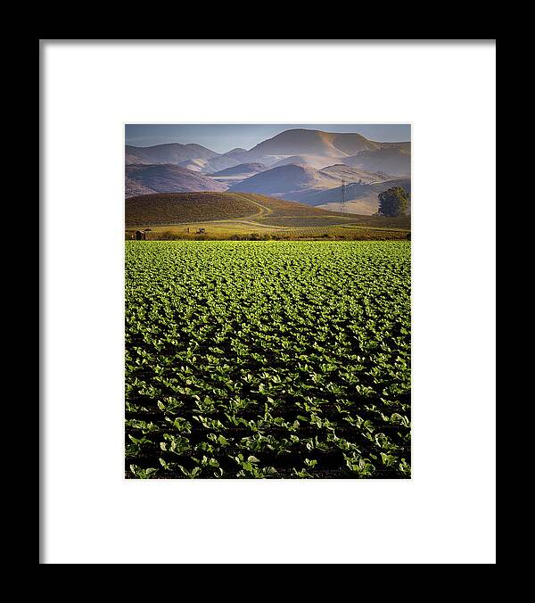  Framed Print featuring the photograph San Luis Obispo #5 by Lars Mikkelsen