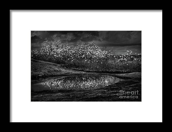 Black And White Framed Print featuring the photograph Untitled 4 by Doug Sturgess