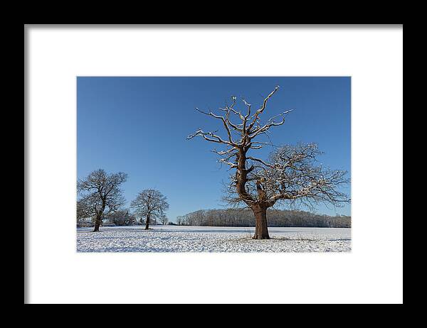 Winter Framed Print featuring the photograph Winter Wonderland #4 by Nick Atkin