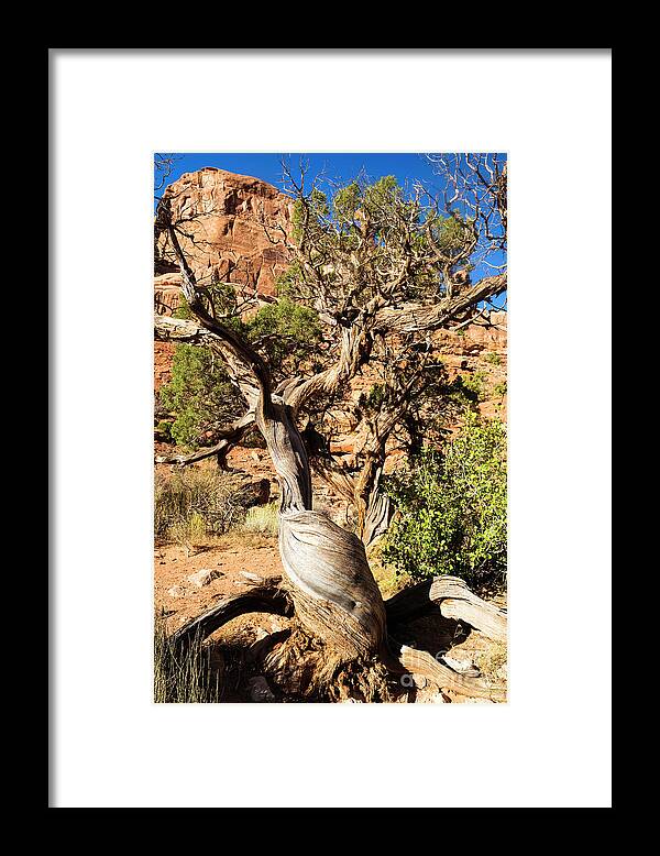 Arches National Park Framed Print featuring the photograph Arches National Park #47 by Raul Rodriguez