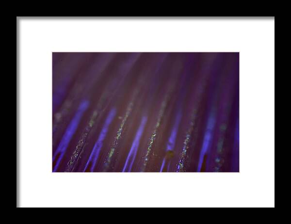 Abstract Framed Print featuring the photograph Abstract #8 by Neil R Finlay