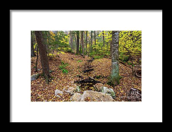 2018 Framed Print featuring the photograph Appalachian Autumn by Stef Ko