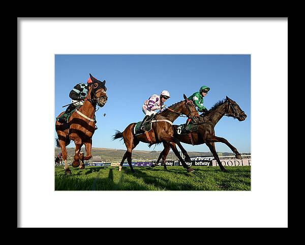 Horse Racing Framed Print featuring the photograph Cheltenham Racing Festival - Ladies Day #5 by Seb Daly