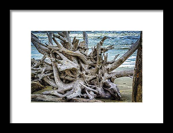 Driftwood Framed Print featuring the photograph Driftwood Beach #6 by Randy Bayne