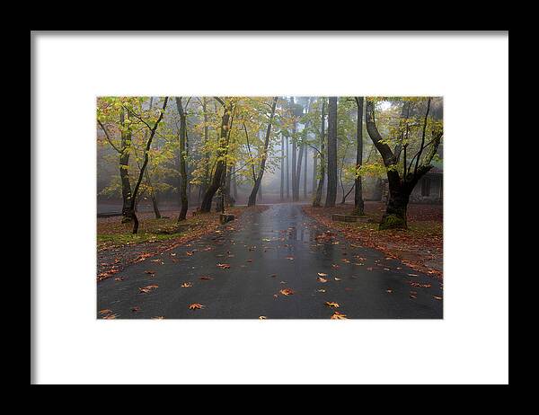 Autumn Framed Print featuring the photograph Autumn landscape with trees and Autumn leaves on the ground after rain by Michalakis Ppalis