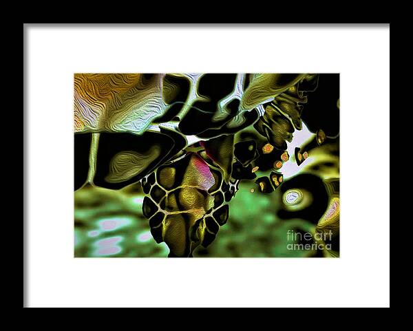 Sea Creatures Framed Print featuring the digital art Golden Turtle 6 by Aldane Wynter