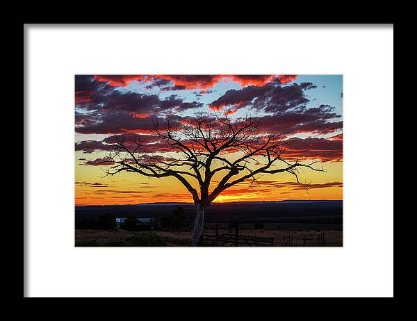 Taos Framed Print featuring the photograph Taos Welcome Tree #7 by Elijah Rael