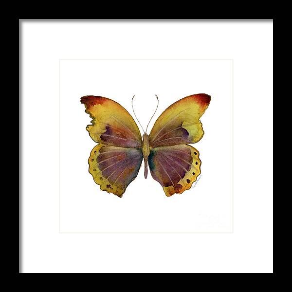 Gold Banded Glider Butterfly Framed Print featuring the painting 84 Gold-Banded Glider Butterfly by Amy Kirkpatrick