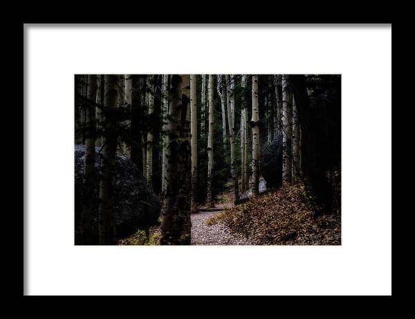 Co Framed Print featuring the photograph Aspens, on the Devils' Head Trail by Doug Wittrock